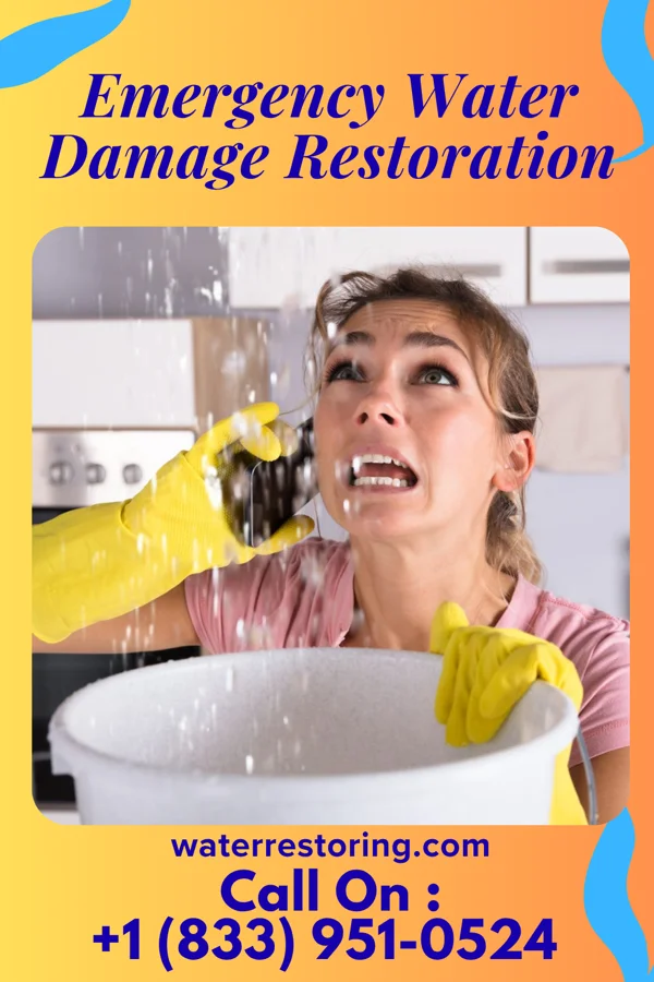 Emergency Water Damage Restoration in Penton, AL